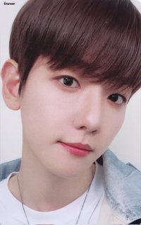 特萊奇 B set 隨機卡 