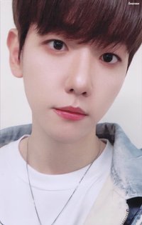 特萊奇 B set 隨機卡 