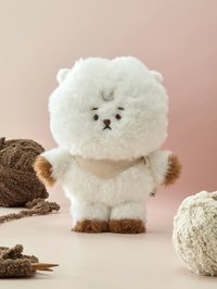 BT21 S娃 RJ製作系列