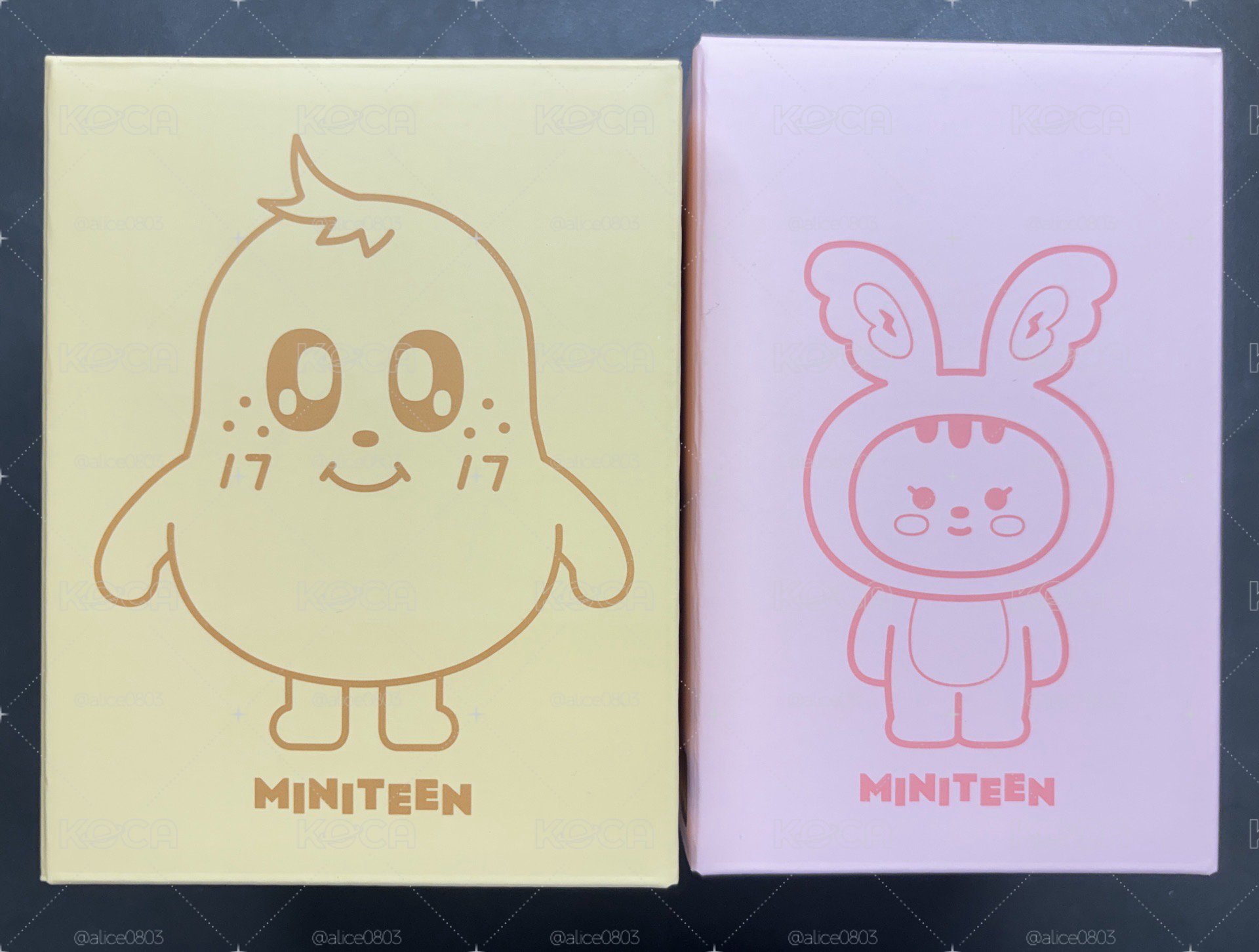 Seventeen Miniteen 小夜燈 漢 奎 全新未拆 現貨
