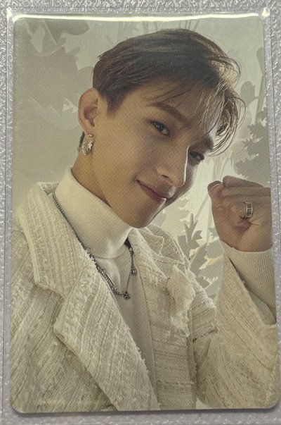 Seventeen not alone 特典卡