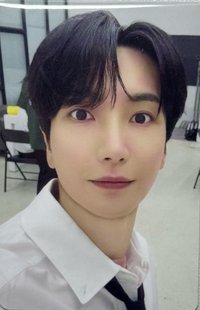 SS10 周邊卡 無尾熊餅乾卡