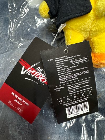 Stray kids The Victory快閃店15公分娃 BbokAri skzoo