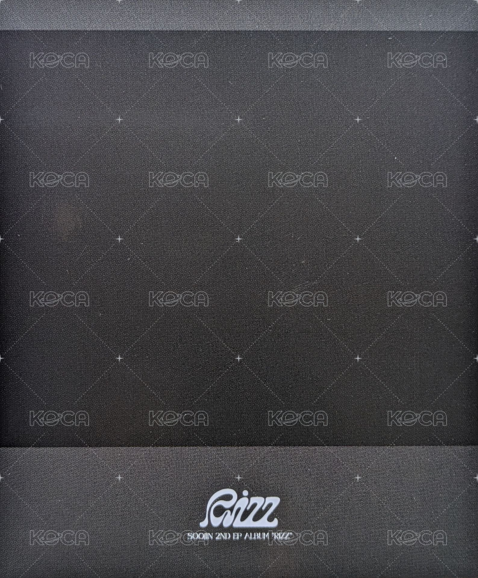 RIZZ 專輯卡 PB Delicate版 拍立得 背面