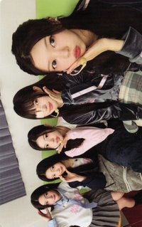 NOT CUTE ANYMORE dingo 團卡 特典卡 