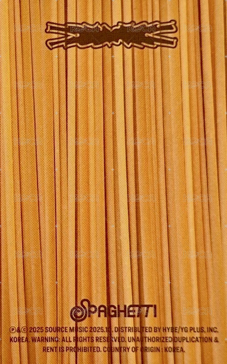 SPAGHETTI 專輯卡 vol.1 (weird garlic) 背面