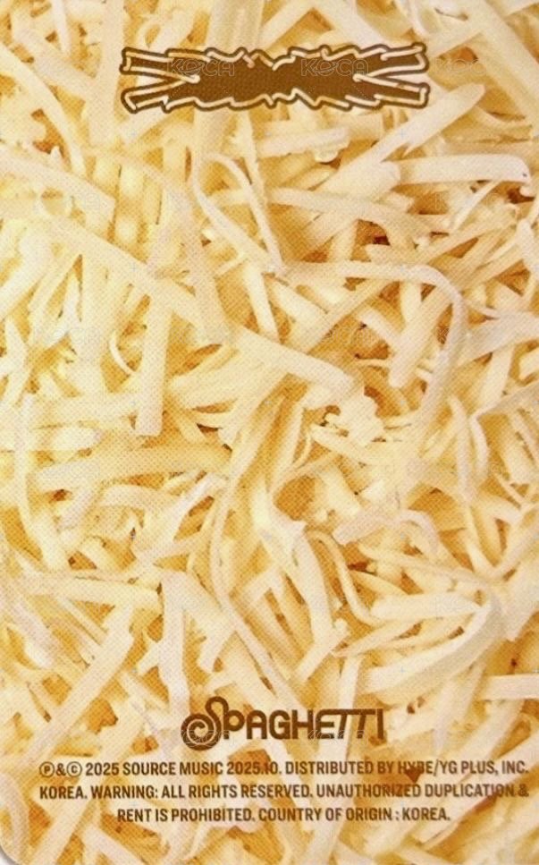 SPAGHETTI 專輯卡 vol.2 (knocking basil) 背面