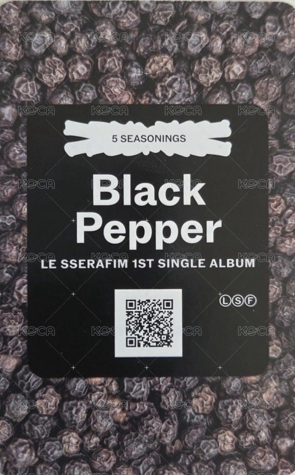 SPAGHETTI 專輯卡 電子專 (B-2) 背面