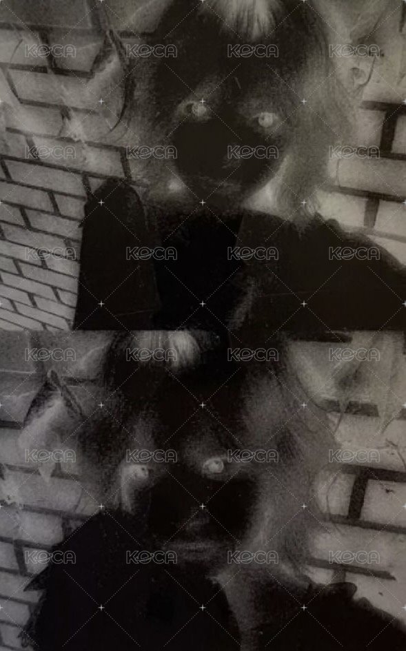 HOT pb 專輯卡 vol.1 (drenched vetiver) 背面