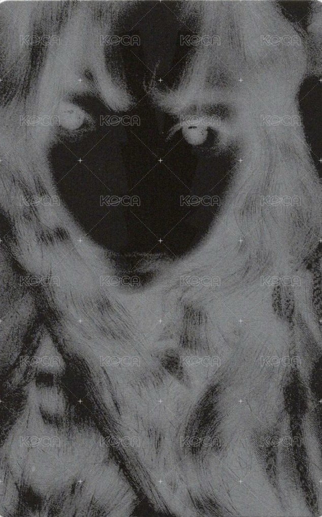 HOT pb 專輯卡 vol.2 (tanned guaiac) 背面