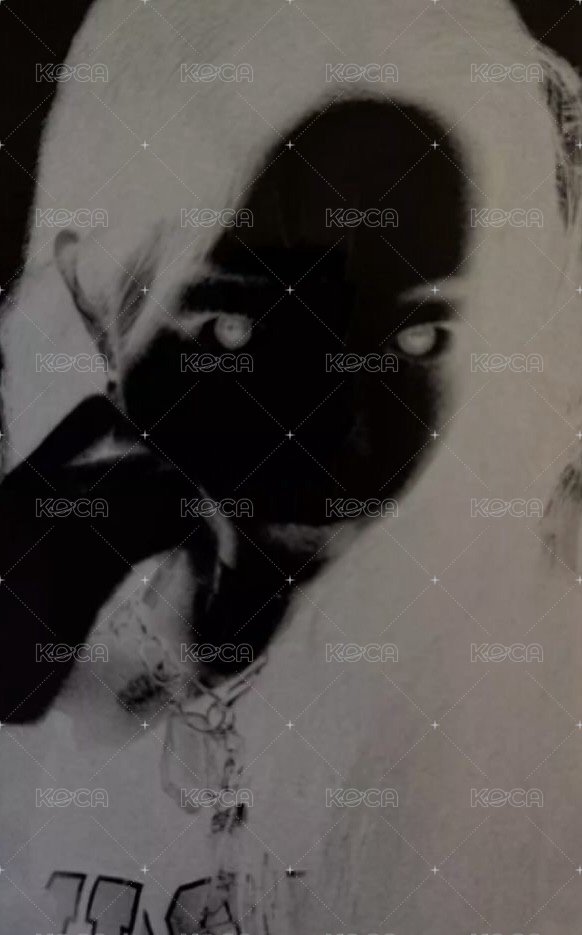 HOT pb 專輯卡 vol.2 (tanned guaiac) 背面