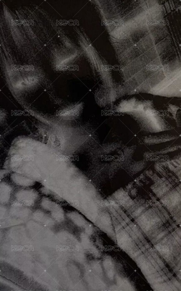 HOT pb 專輯卡 vol.2 (tanned guaiac) 背面