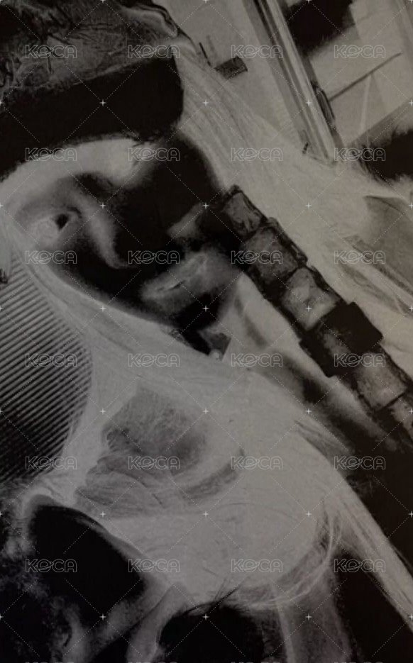 HOT pb 專輯卡 vol.2 (tanned guaiac) 背面