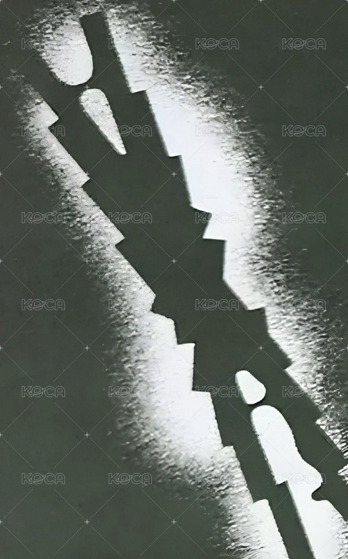 HOT 單封 專輯卡  背面