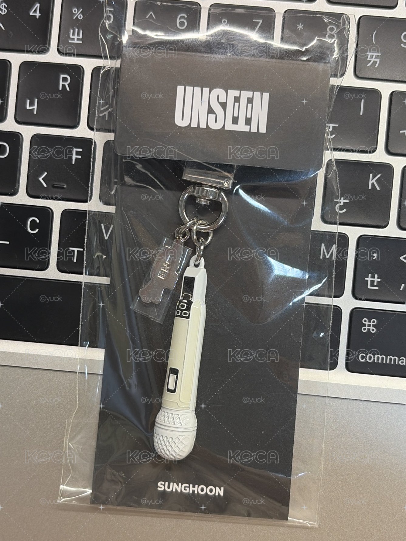 UNSEEN展覽 朴成訓 麥克風吊飾
