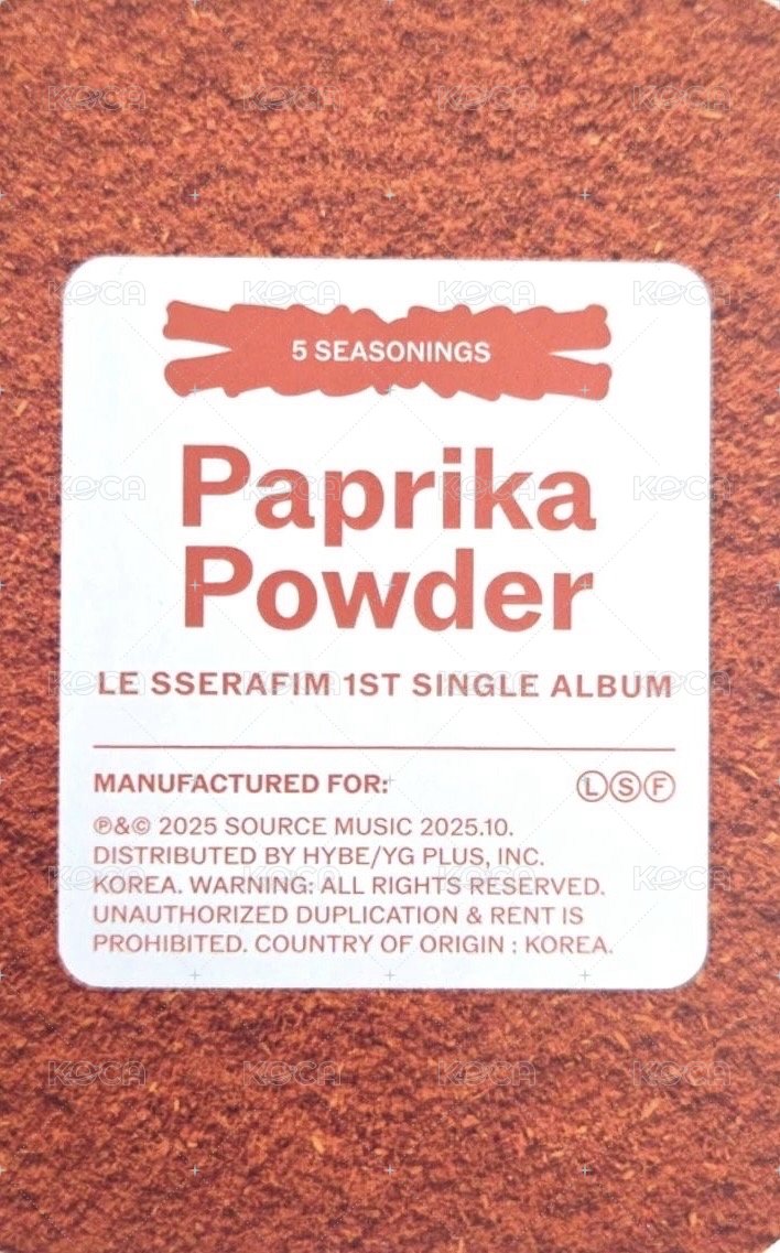 SPAGHETTI 專輯卡 電子專 (A-1) 背面