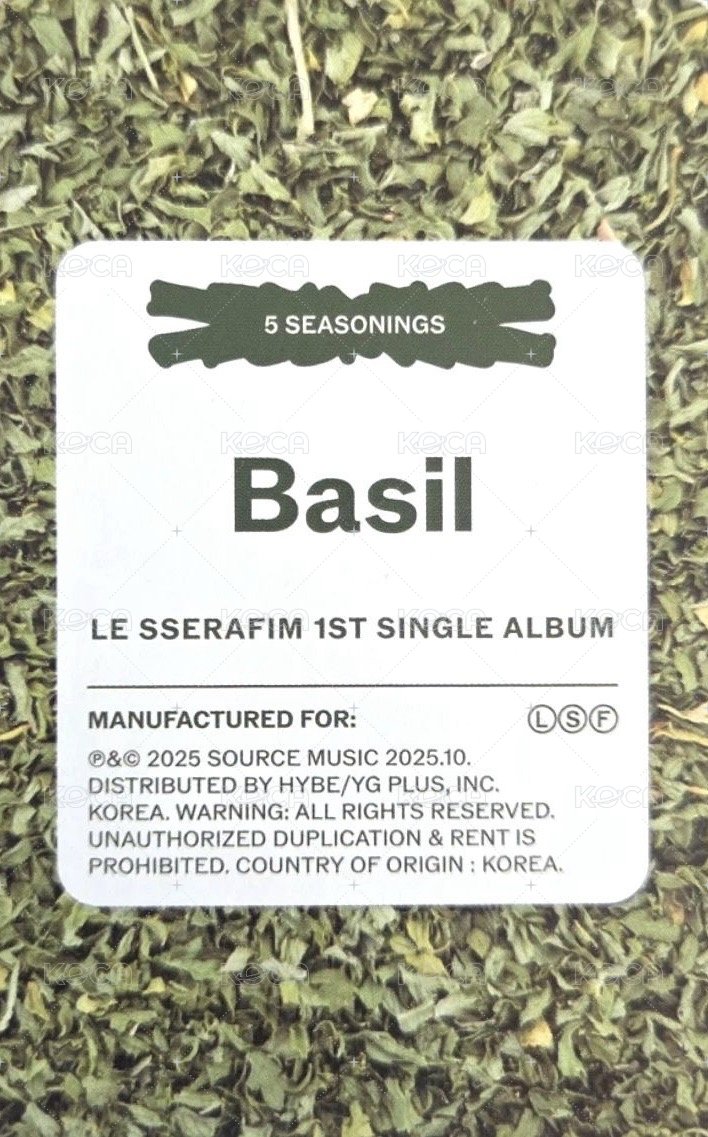 SPAGHETTI 專輯卡 電子專 (A-2) 背面