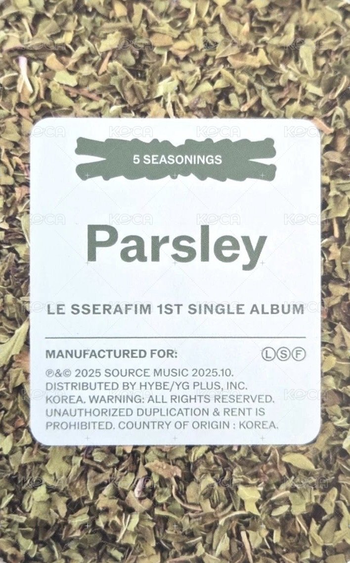 SPAGHETTI 專輯卡 電子專 (A-2) 背面