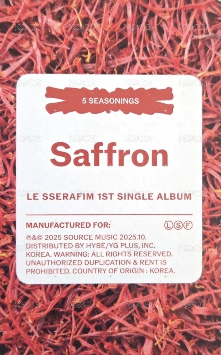 SPAGHETTI 專輯卡 電子專 (A-1) 背面