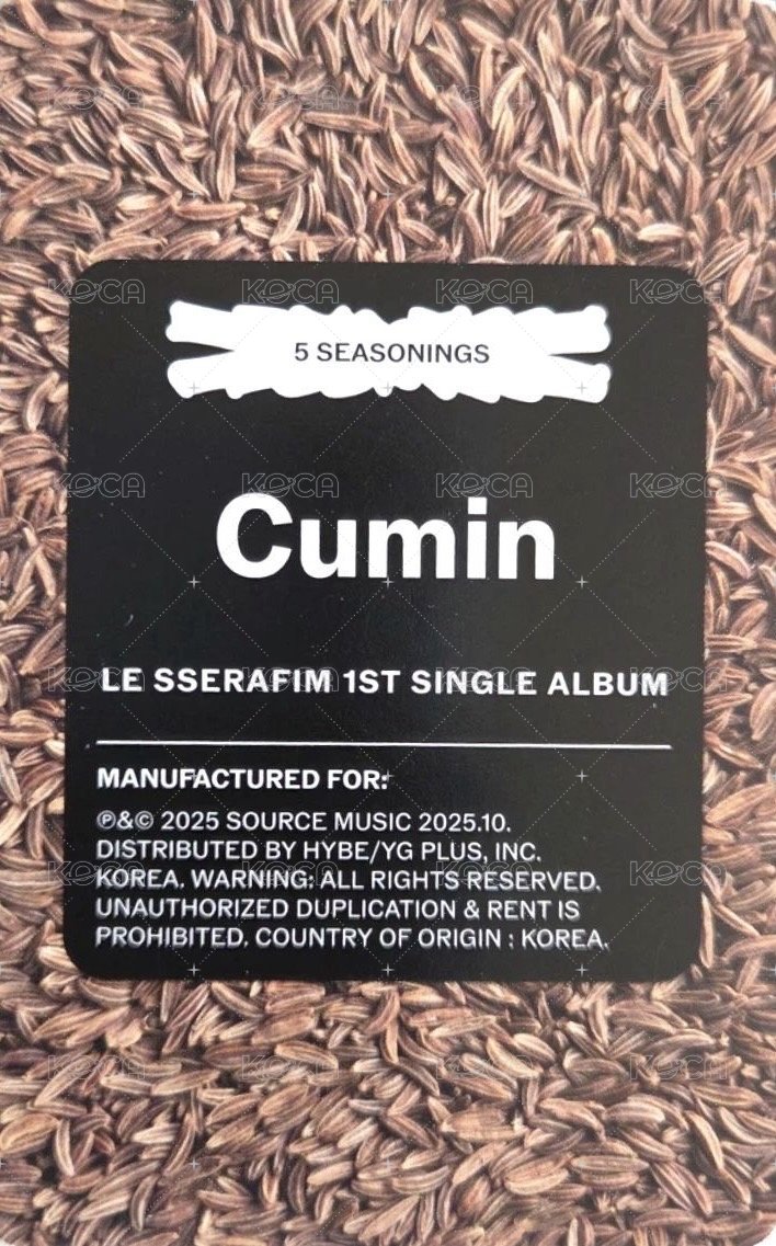 SPAGHETTI 專輯卡 電子專 (B-1) 背面