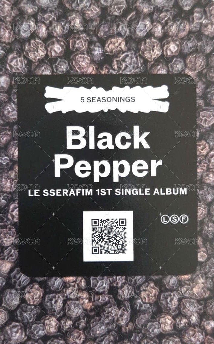 SPAGHETTI 專輯卡 電子專 (B-1) 背面