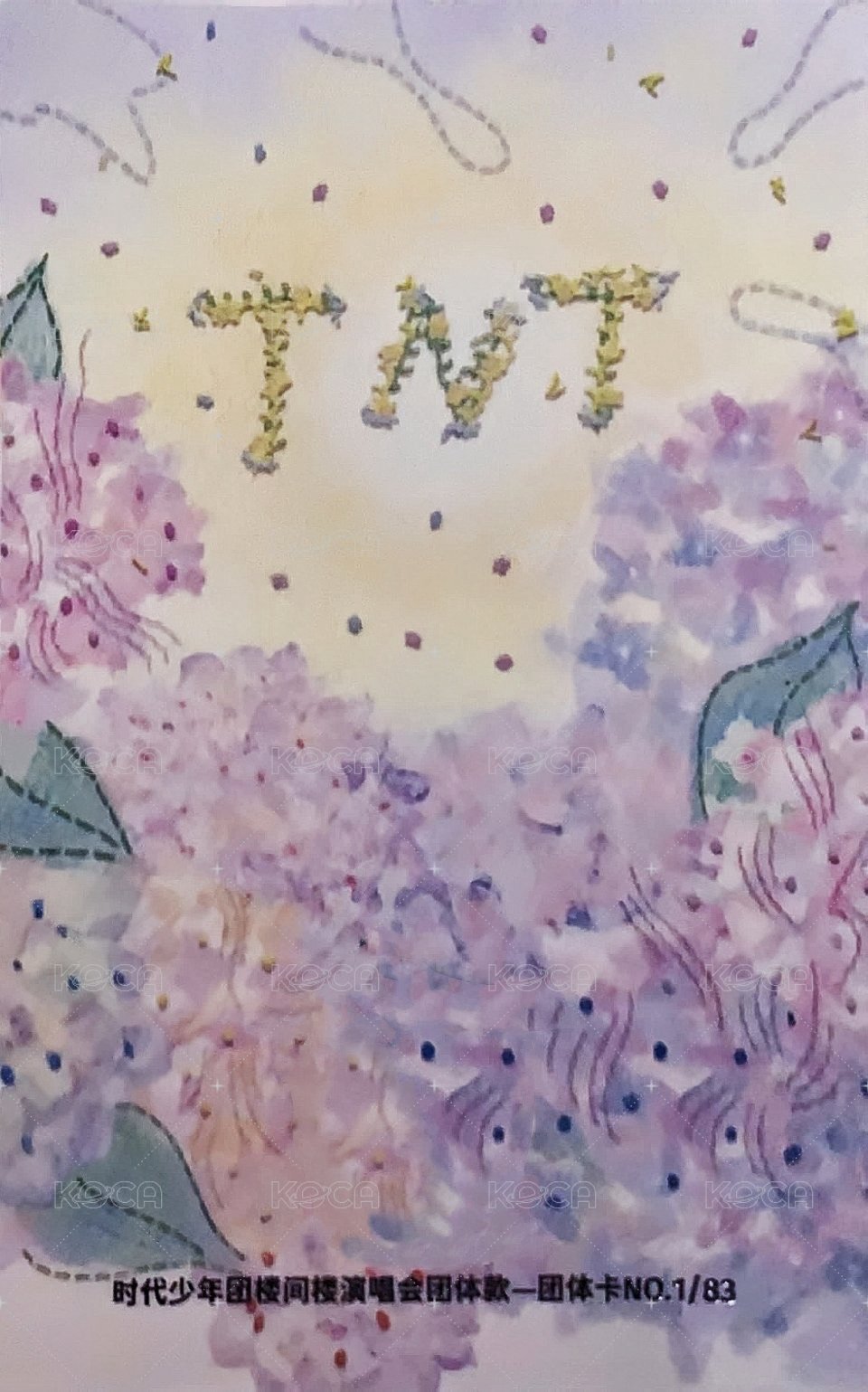 樓間樓 周邊卡 團 固卡 背面