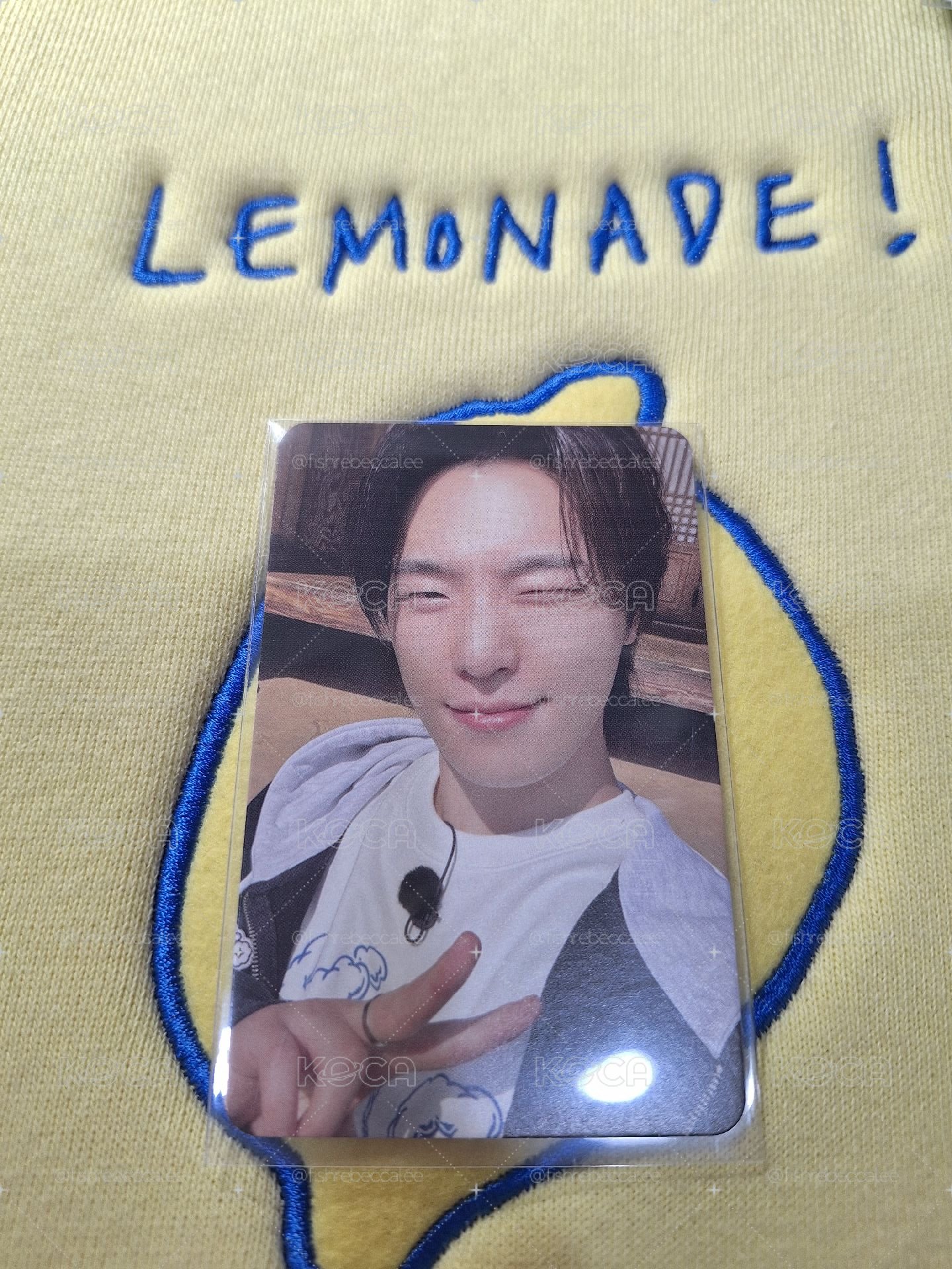 nana bnb dino 燦