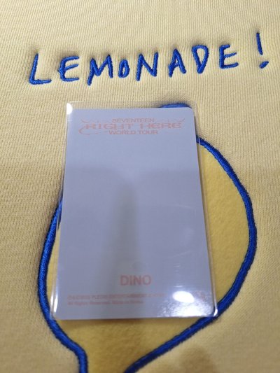 right here world tour dino