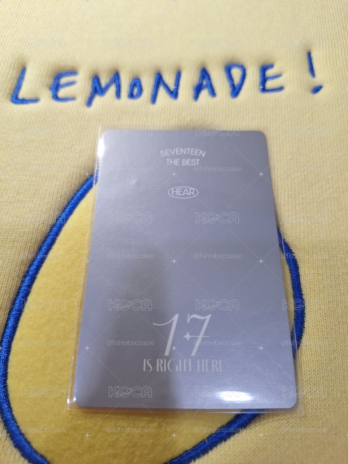 17 is right here dino 