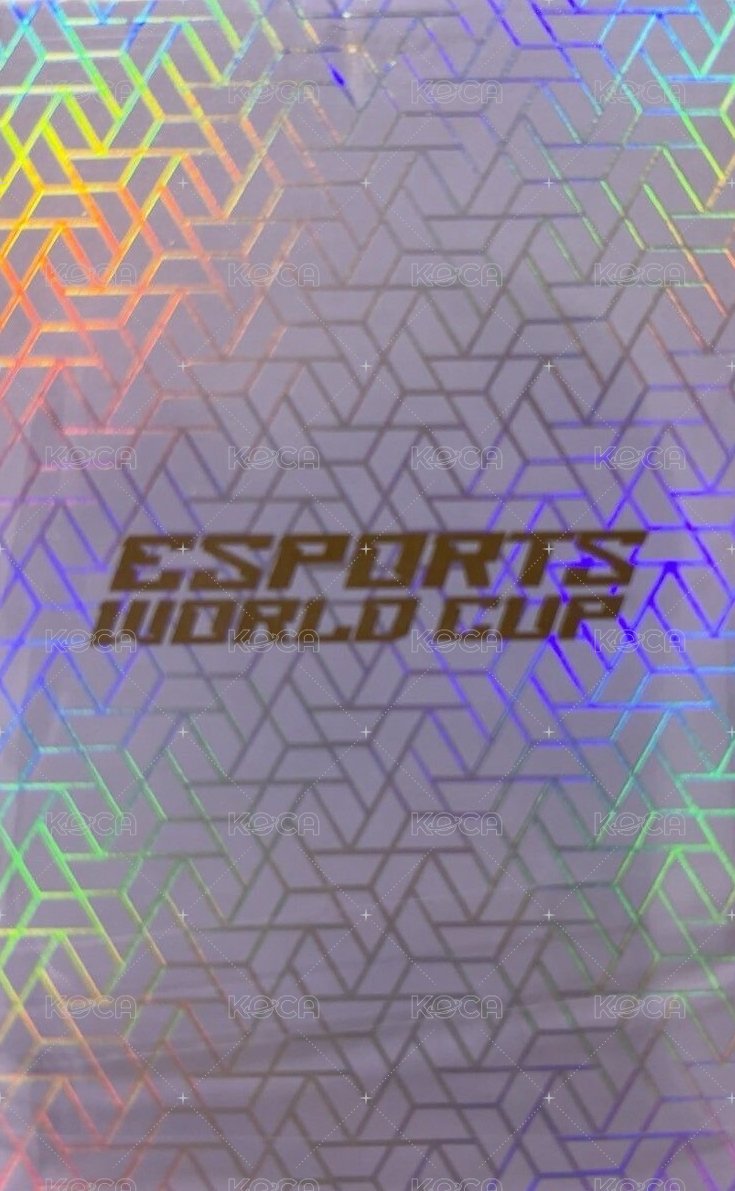 2025 EWC EWC 入場卡 / 場限卡  背面