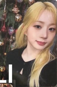 正規一 ms 14.0 抽選卡 聖誕樹ver.