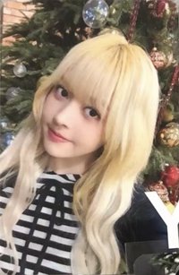 正規一 ms 14.0 抽選卡 聖誕樹ver.