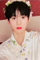 蝴蝶效應   專輯卡 小花環 家族款