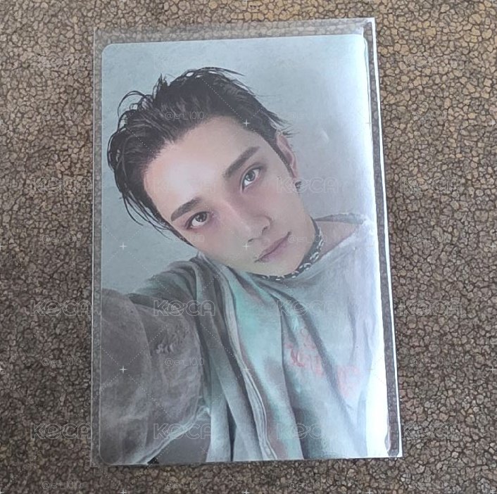 正規五 專卡 秀