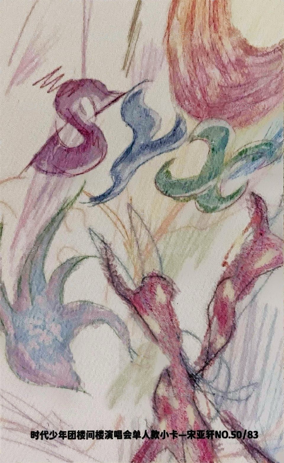 樓間樓 隨機卡 3單人普卡 背面