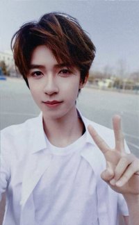 樓間樓 隨機卡 賀峻霖單人普卡