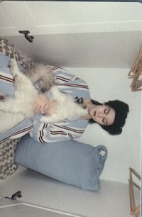 異次元 專輯卡 抱貓