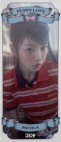 I'll change it : PUPPY LOVE 周邊卡 固配