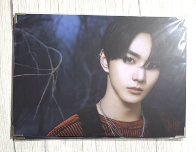 WTL世巡相框 禎元 WALK THE LINE Premium Photo Jungwon