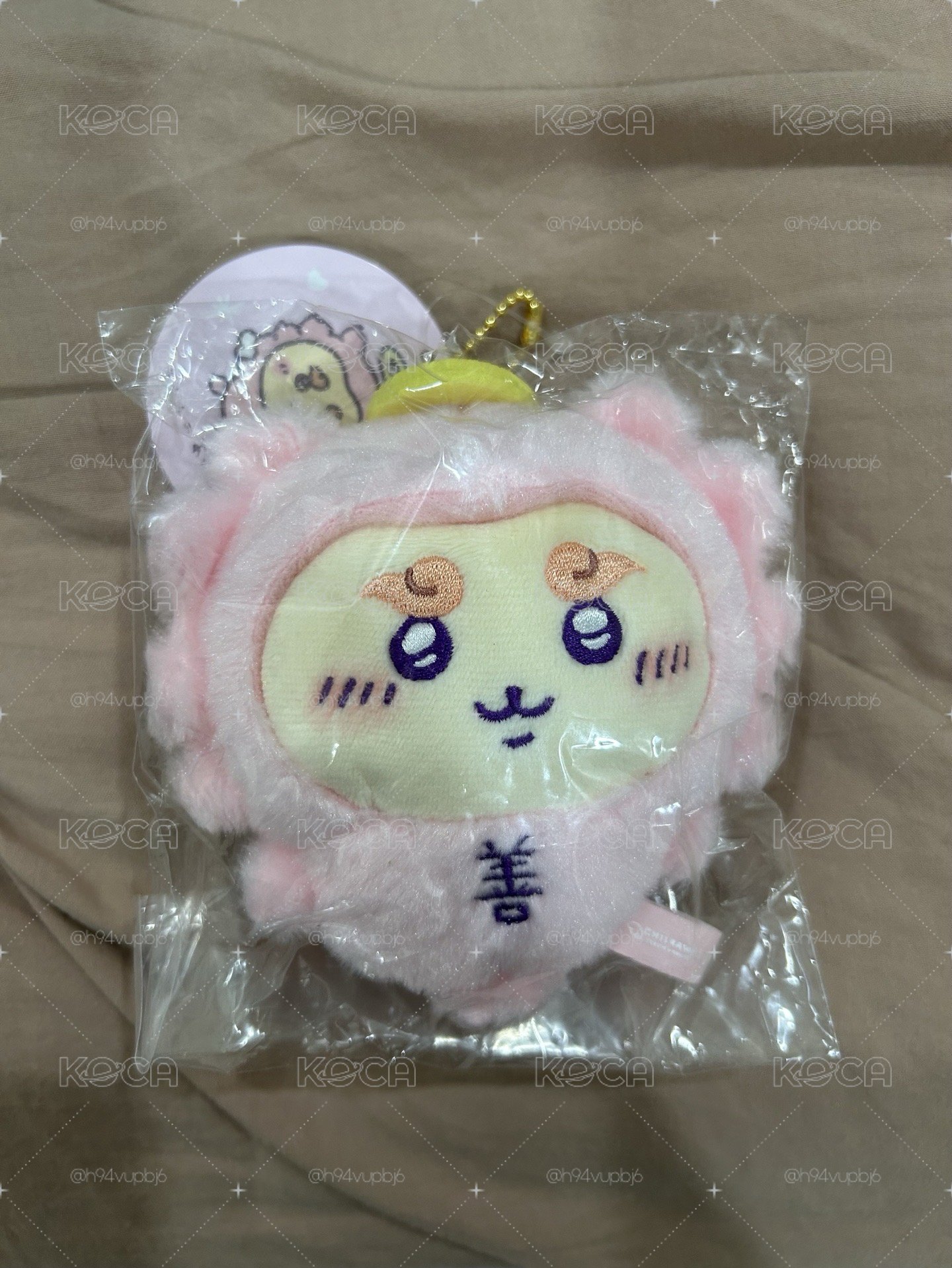 善獅薩