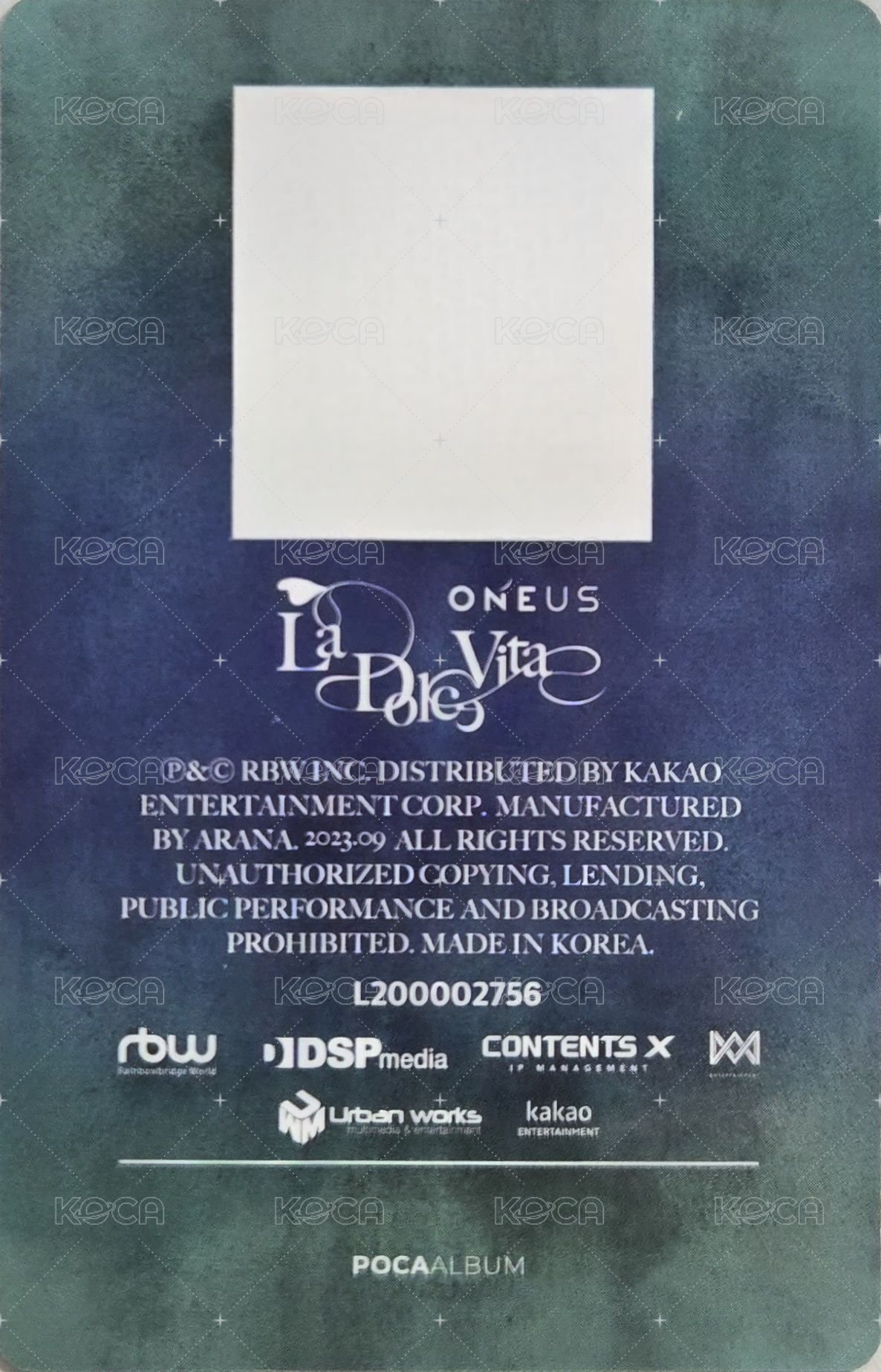 迷十 專輯卡  背面