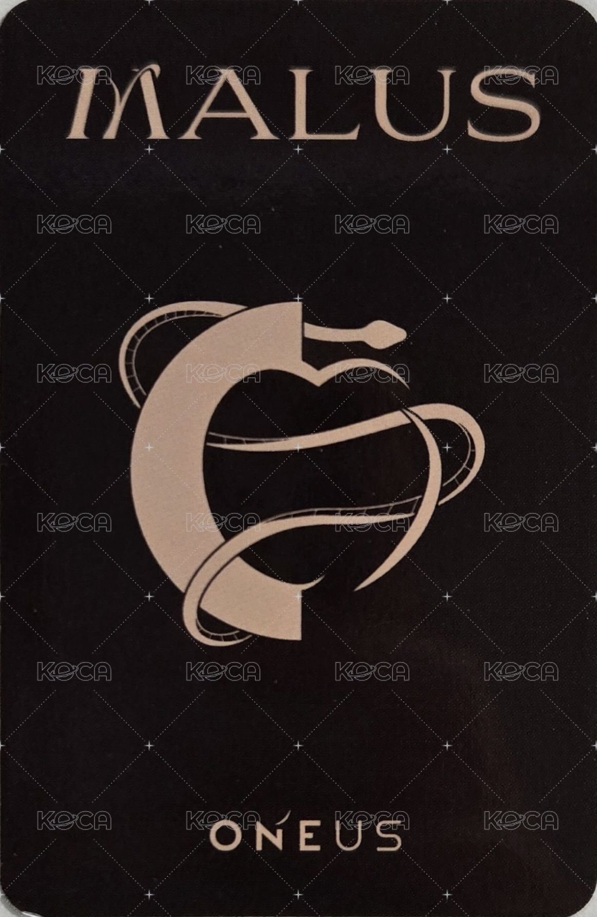MALUS 專輯卡  背面