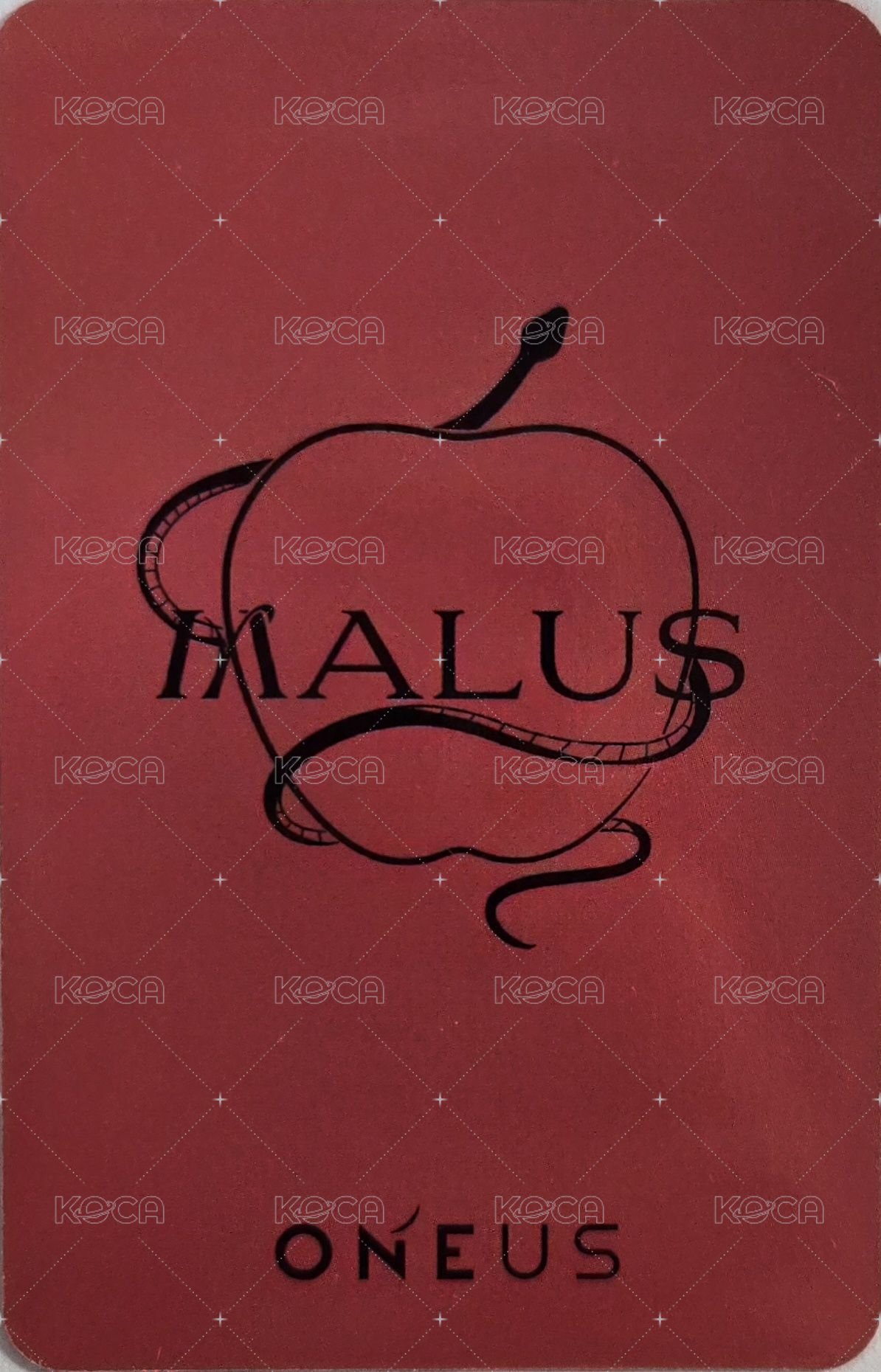 MALUS 專輯卡  背面