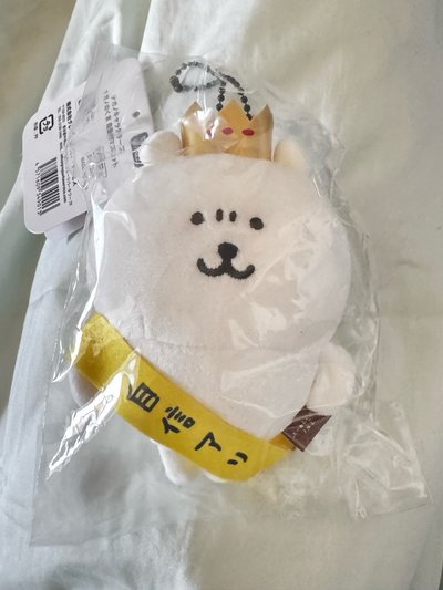 ⚡️NANGANO 吉伊卡哇 自信熊