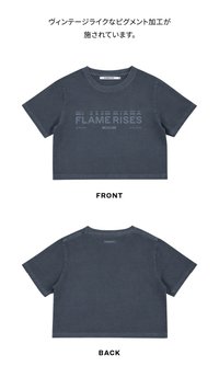 CROP S/S T-SHIRT (BLUE GRAY)