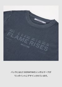 CROP S/S T-SHIRT (BLUE GRAY)