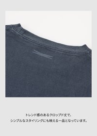 CROP S/S T-SHIRT (BLUE GRAY)