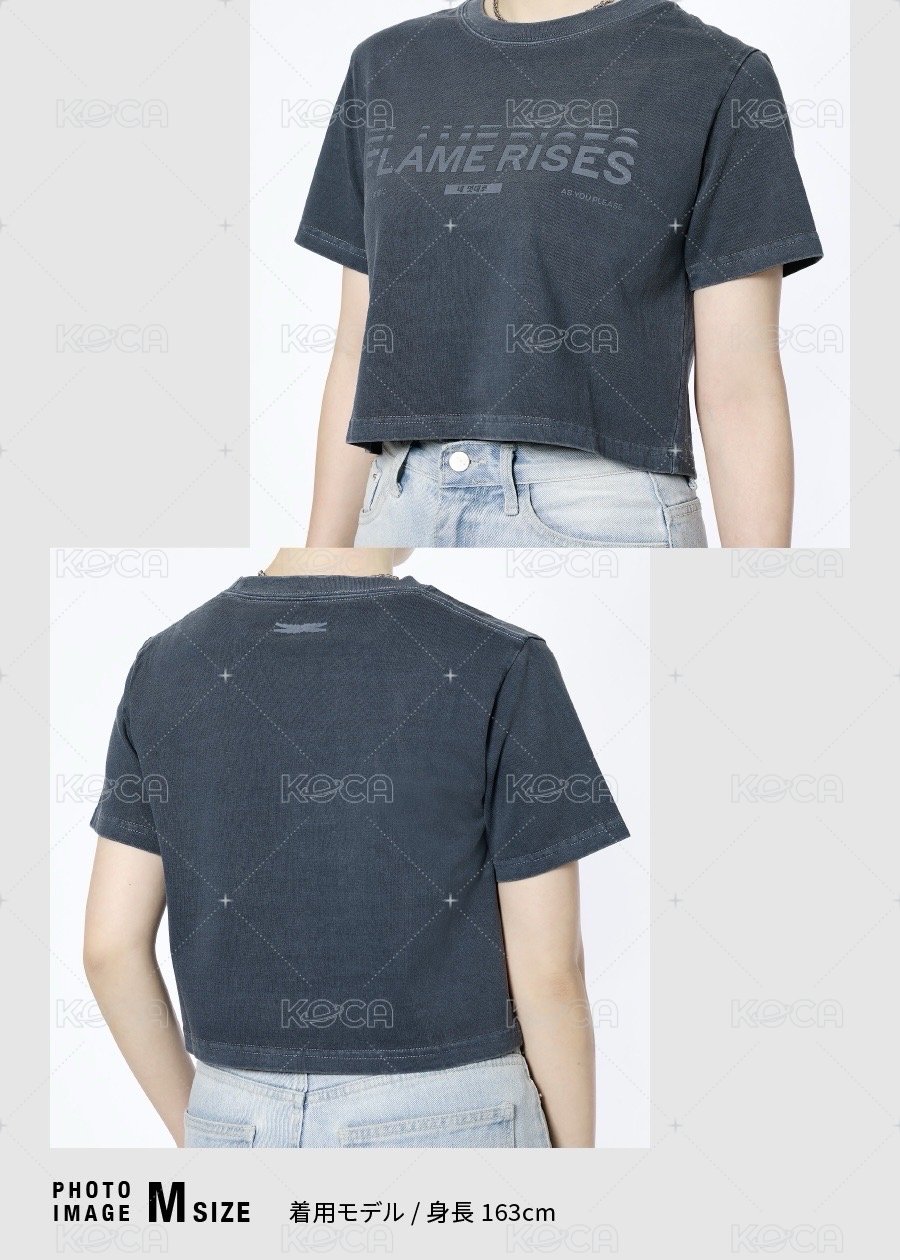 CROP S/S T-SHIRT (BLUE GRAY)