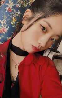 JP正規六 專輯卡 個人盤