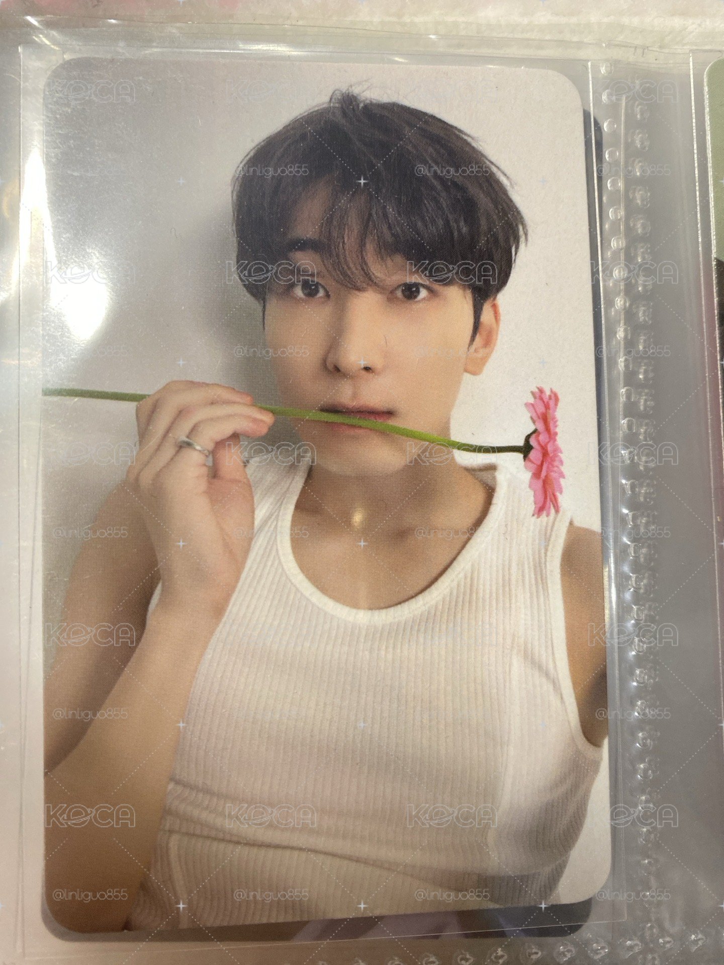 圓佑親愛盤專卡